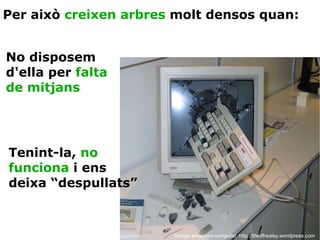 Imatge:smashed-computer. http://lifeofhealey.wordpress.com Per això  creixen arbres  molt densos quan: No disposem d'ella per  falta de mitjans Tenint-la,  no funciona  i ens deixa “ despullats ” 