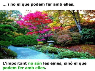 Imatge: jardin5. http://www.fotomusica.net ... i no el que podem fer amb elles. L'important  no són  les eines, sinó el que  podem fer amb elles . 