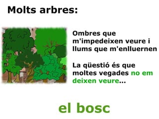 Molts arbres: Ombres que m'impedeixen veure i llums que m'enlluernen La qüestió és que moltes vegades  no em deixen veure ... el bosc 
