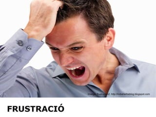 Imatge: frustration2. http://indiaherbsblog.blogspot.com FRUSTRACIÓ 