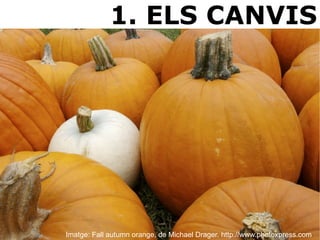 1. ELS CANVIS Imatge: Fall autumn orange, de Michael Drager. http://www.photoxpress.com 