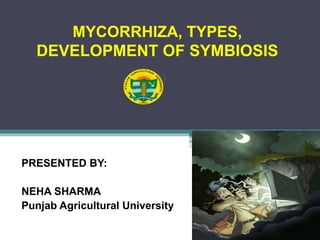 MYCORRHIZA, TYPES,
DEVELOPMENT OF SYMBIOSIS
PRESENTED BY:
NEHA SHARMA
Punjab Agricultural University
 