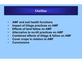 Amf Forms Arbuscular mycorrhizal fungi kabir | PDF