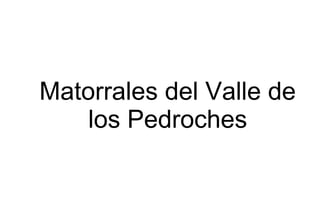 Matorrales del Valle de
los Pedroches
 