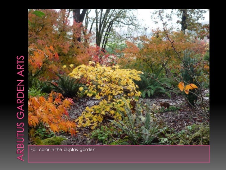 Arbutus Garden Arts Display Garden Tour