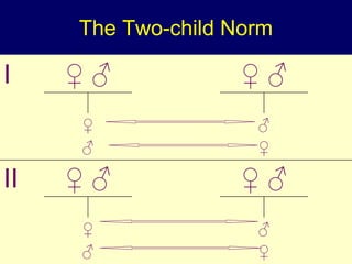 The Two-child Norm
I ♀ ♂ ♀ ♂
♀
♂
♂
♀
II ♀ ♂ ♀ ♂
♀
♂
♂
♀
 