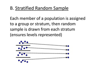 B. Stratified Random Sample
Each member of a population is assigned
to a group or stratum, then random
sample is drawn from each stratum
(ensures levels represented)
 