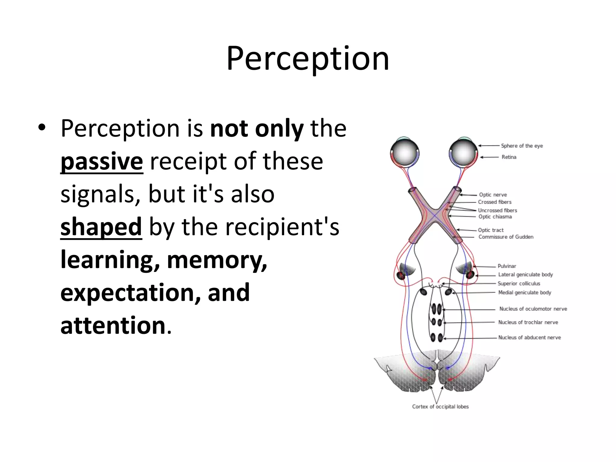Perception
• Perception is not only the
passive receipt of these
signals, but it's also
shaped by the recipient's
learning, memory,
expectation, and
attention.
 