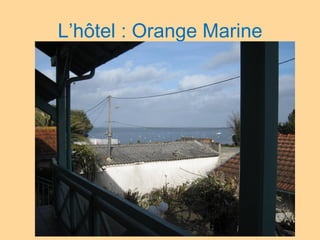 L’hôtel : Orange Marine 