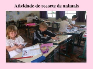 Arca de noé genifer