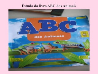 Arca de noé genifer