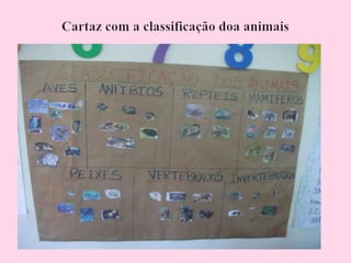 Arca de noé genifer