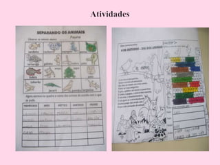 Arca de noé genifer