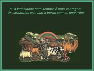8- A velocidade nem sempre é uma vantagem.  Os caramujos estavam a bordo com os leopardos. 