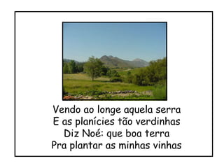 Vendo ao longe aquela serra E as planícies tão verdinhas Diz Noé: que boa terra Pra plantar as minhas vinhas 