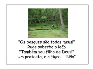 "Os bosques são todos meus!" Ruge soberbo o leão "Também sou filho de Deus!" Um protesta, e o tigre - "Não" 