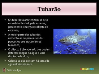 Tubarão
 Os tubarões caracterizam-se pelo
  esqueleto flexível, pele espessa,
  geralmente cinzenta e coberta de
  escamas;
 A maior parte dos tubarões
  alimenta-se de peixes, sendo
  poucos os que atacam seres
  humanos;
 O olfacto é tão apurado que podem
  detectar sangue na água a uma
  distância de 1km;
 Calcula-se que existam há cerca de
  450 milhões de anos.

 Feito por: Igor
 