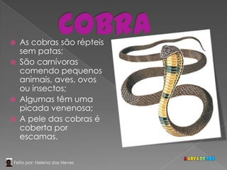    As cobras são répteis
    sem patas;
   São carnívoras
    comendo pequenos
    animais, aves, ovos
    ou insectos;
   Algumas têm uma
    picada venenosa;
   A pele das cobras é
    coberta por
    escamas.


Feito por: Helena das Neves
 