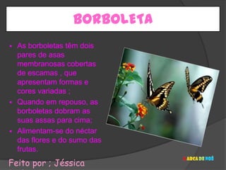 BORBOLETA
   As borboletas têm dois
    pares de asas
    membranosas cobertas
    de escamas , que
    apresentam formas e
    cores variadas ;
   Quando em repouso, as
    borboletas dobram as
    suas assas para cima;
   Alimentam-se do néctar
    das flores e do sumo das
    frutas.
Feito por ; Jéssica
 