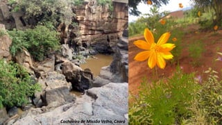 Cachoeira de Missão Velha, Ceará
 