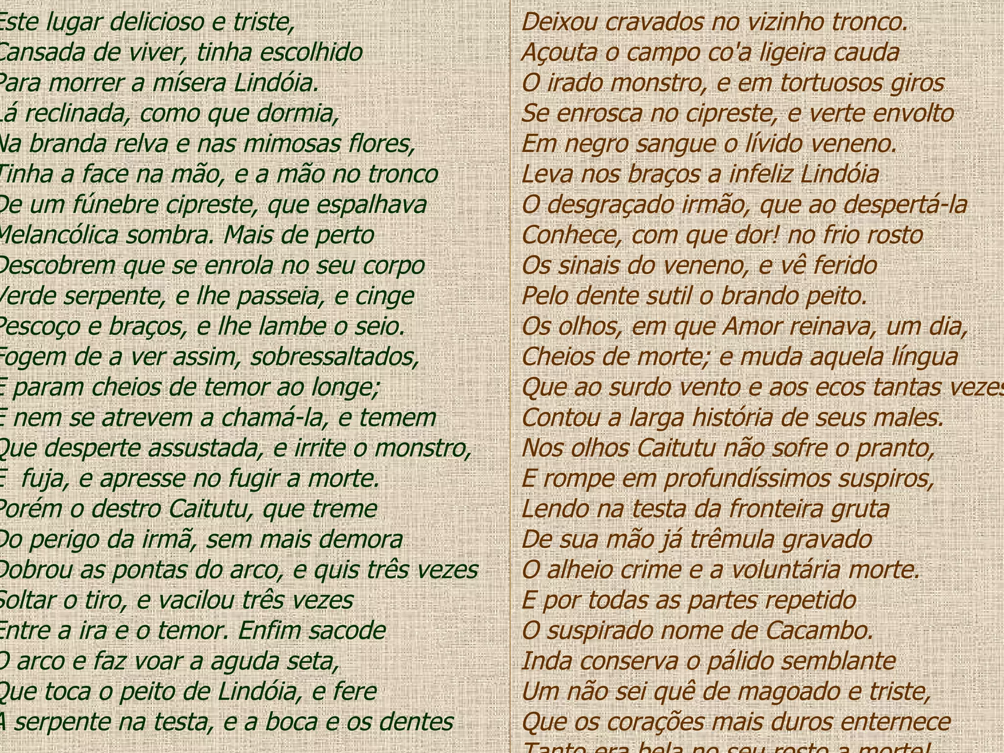 Este lugar delicioso e triste, Cansada de viver, tinha escolhido Para morrer a mísera Lindóia. Lá reclinada, como que dormia, Na branda relva e nas mimosas flores, Tinha a face na mão, e a mão no tronco De um fúnebre cipreste, que espalhava Melancólica sombra. Mais de perto Descobrem que se enrola no seu corpo Verde serpente, e lhe passeia, e cinge Pescoço e braços, e lhe lambe o seio. Fogem de a ver assim, sobressaltados, E param cheios de temor ao longe; E nem se atrevem a chamá-la, e temem Que desperte assustada, e irrite o monstro, E  fuja, e apresse no fugir a morte. Porém o destro Caitutu, que treme Do perigo da irmã, sem mais demora Dobrou as pontas do arco, e quis três vezes Soltar o tiro, e vacilou três vezes Entre a ira e o temor. Enfim sacode O arco e faz voar a aguda seta, Que toca o peito de Lindóia, e fere A serpente na testa, e a boca e os dentes Deixou cravados no vizinho tronco. Açouta o campo co'a ligeira cauda O irado monstro, e em tortuosos giros Se enrosca no cipreste, e verte envolto Em negro sangue o lívido veneno. Leva nos braços a infeliz Lindóia O desgraçado irmão, que ao despertá-la Conhece, com que dor! no frio rosto Os sinais do veneno, e vê ferido Pelo dente sutil o brando peito. Os olhos, em que Amor reinava, um dia, Cheios de morte; e muda aquela língua Que ao surdo vento e aos ecos tantas vezes Contou a larga história de seus males. Nos olhos Caitutu não sofre o pranto, E rompe em profundíssimos suspiros, Lendo na testa da fronteira gruta De sua mão já trêmula gravado O alheio crime e a voluntária morte. E por todas as partes repetido O suspirado nome de Cacambo. Inda conserva o pálido semblante Um não sei quê de magoado e triste, Que os corações mais duros enternece Tanto era bela no seu rosto a morte! 