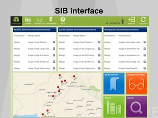 SIB interface
 