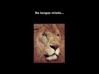 No tengas miedo... 