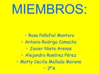 MIEMBROS: Rosa Peñafiel Montoro Antonio Rodrigo Camacho Javier Nieto Arenas Alejandro Ramírez Pérez Matty Cecilia Mellado Moreno 3ºA