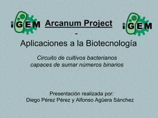 Arcanum Project
              -
Aplicaciones a la Biotecnología
    Circuito de cultivos bacterianos
  capaces de sumar números binarios



          Presentación realizada por:
 Diego Pérez Pérez y Alfonso Agüera Sánchez
 