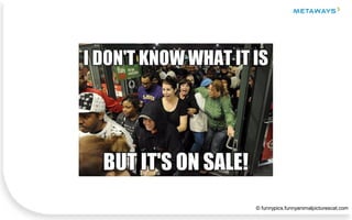 © funnypics.funnyanimalpicturescat.com
 