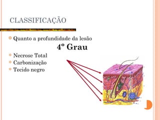 CLASSIFICAÇÃO
 Quanto a profundidade da lesão
4º Grau
 Necrose Total
 Carbonização
 Tecido negro
 