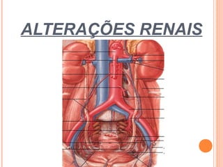 ALTERAÇÕES RENAIS
 