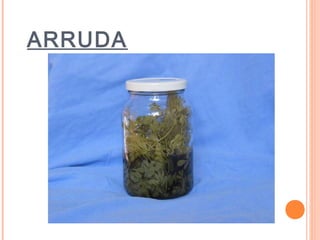 ARRUDA
 