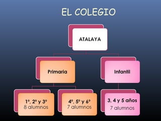 EL COLEGIO 