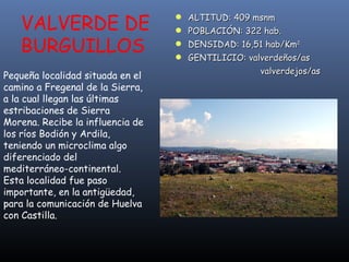 Pequeña localidad situada en el camino a Fregenal de la Sierra, a la cual llegan las últimas estribaciones de Sierra Morena. Recibe la influencia de los ríos Bodión y Ardila, teniendo un microclima algo diferenciado del mediterráneo-continental. Esta localidad fue paso importante, en la antigüedad, para la comunicación de Huelva con Castilla. VALVERDE DE BURGUILLOS ALTITUD: 409 msnm POBLACIÓN: 322 hab. DENSIDAD: 16,51 hab/Km 2 GENTILICIO: valverdeños/as   valverdejos/as 