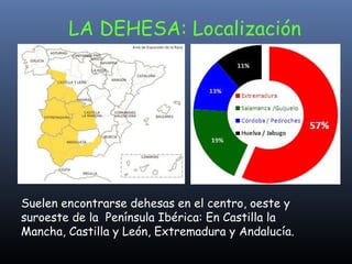 LA DEHESA: Localización Suelen encontrarse dehesas en el centro, oeste y suroeste de la  Península Ibérica: En Castilla la Mancha, Castilla y León, Extremadura y Andalucía. 
