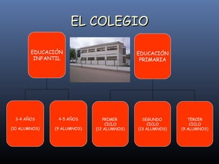 EL COLEGIO EDUCACIÓN INFANTIL 3-4 AÑOS (10 ALUMNOS) 4-5 AÑOS (9 ALUMNOS) EDUCACIÓN PRIMARIA PRIMER  CICLO (12 ALUMNOS) SEGUNDO  CICLO (13 ALUMNOS) TERCER CICLO (9 ALUMNOS) 