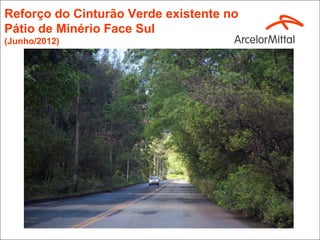 Reforço do Cinturão Verde existente no
Pátio de Minério Face Sul
(Junho/2012)
 