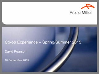 Co-op Experience – Spring/Summer 2015
David Pearson
18 September 2015
 