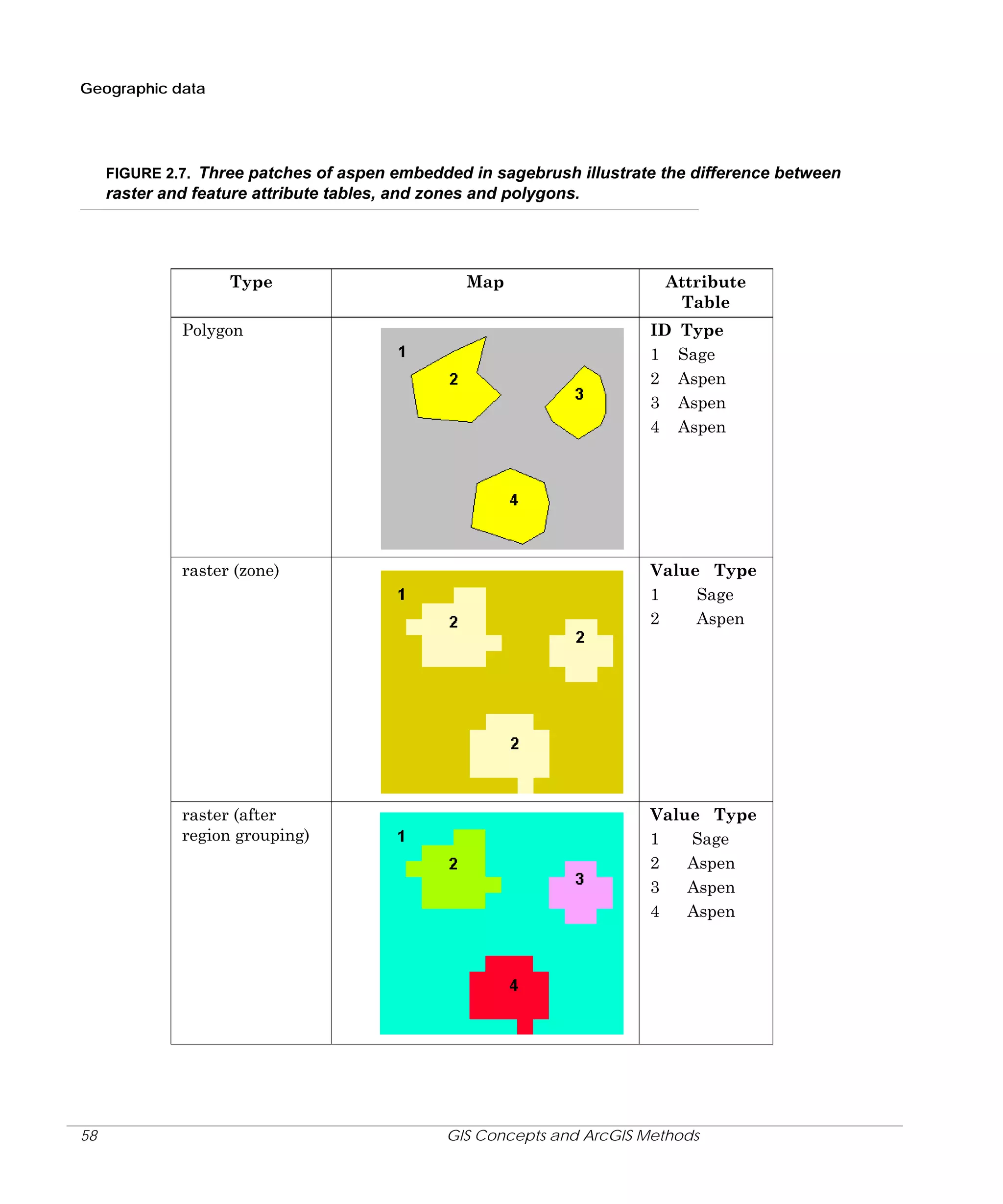 Geographic data

FIGURE 2.7. Three patches of aspen embedded in sagebrush illustrate the difference between

raster and feature attribute tables, and zones and polygons.

Type

Map

Attribute
Table

Polygon

raster (zone)

Value Type
1
Sage
2
Aspen

raster (after
region grouping)

58

ID
1
2
3
4

Type
Sage
Aspen
Aspen
Aspen

Value Type
1
Sage
2
Aspen
3
Aspen
4
Aspen

GIS Concepts and ArcGIS Methods

 