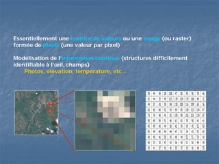 Essentiellement une matrice de valeurs ou une image (ou raster)
formée de pixels (une valeur par pixel)
Modélisation de l’information continue (structures difficilement
identifiable à l’œil, champs)
Photos, élévation, température, etc…
 