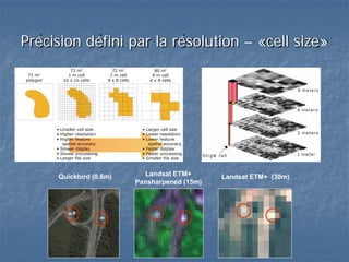 Précision défini par la résolution – «cell size»
Vectoriel Matriciels
Quickbird (0.6m) Landsat ETM+
Pansharpened (15m)
Landsat ETM+ (30m)
 