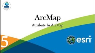ArcMap
Attribute In ArcMap
 