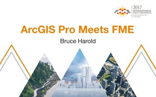 ArcGIS Pro Meets FME
Bruce Harold
 