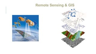 Remote Sensing & GIS
 