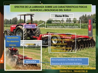 EFECTOS DE LA LABRANZA SOBRE LAS CARACTERISTICAS FISICAS
QUIMICAS y BIOLOGICAS DEL SUELO
Salinización, Lavado
Perdida de nutrientes.
Contaminación
Formación de suelo.
Sustrato-Ácidos.
Descomposición y Perdida de M.O.
Descenso de la Actividad Biológica.
- FISICA
- BIOLOGICA
- QUIMICA
Efectos IN Situ
Degradación
Por deterioro
Interno.
Sellado, Encostrado
Compactación, Sodicicación.
MAQUINARIA E IMPLEMENTOS AGRÍCOLAS
TRAYECTO V . TRIMESTRE III
 