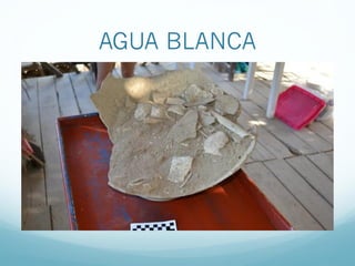 AGUA BLANCA
 