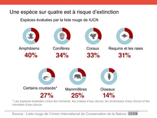 Une espèce sur quatre est à risque d’extinction
Requins et les raiesCorauxConifères
Mammifères OiseauxCertains crustacés*
Amphibiens
Espèces évaluées par la liste rouge de IUCN
Source : Liste rouge de l’Union International de Conservation de la Nature
* Les espèces évaluées inclus les homards, les crabes d’eau douce, les écrevisses d’eau douce et les
crevettes d’eau douce
 