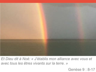 Et Dieu dit à Noé: « J’établis mon alliance avec vous et
avec tous les êtres vivants sur la terre. »
Genèse 9 : 8-17
 