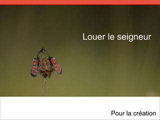 Pour la création
Louer le seigneur
 